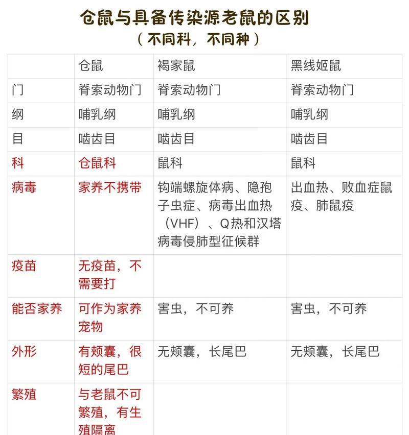 新手养仓鼠，必看的八大禁忌与饲养技巧（新手如何正确饲养仓鼠？八大禁忌你必须知道！）