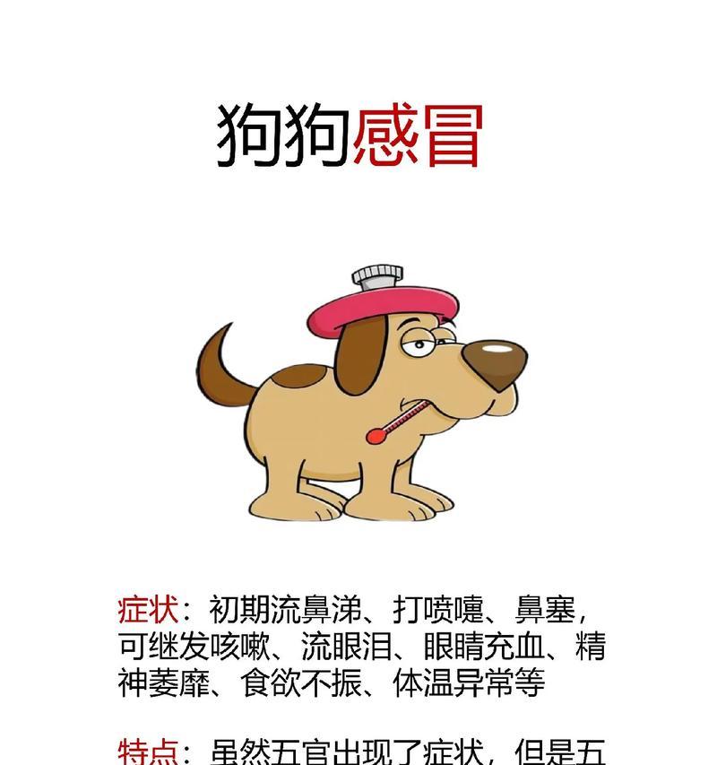 狗狗打喷嚏的原因解析（是生病还是欢迎的表现？一探究竟！）