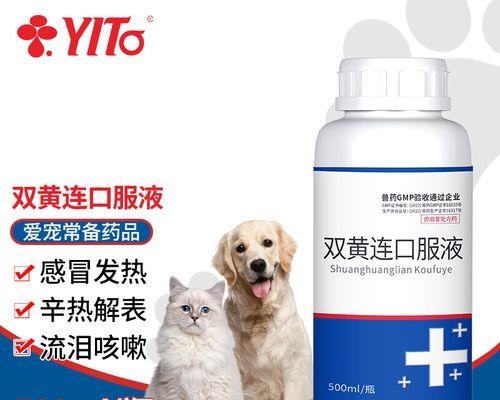 狗狗感冒应该吃什么药？合适的药物治疗方法（了解狗狗感冒的药物选择和治疗建议）