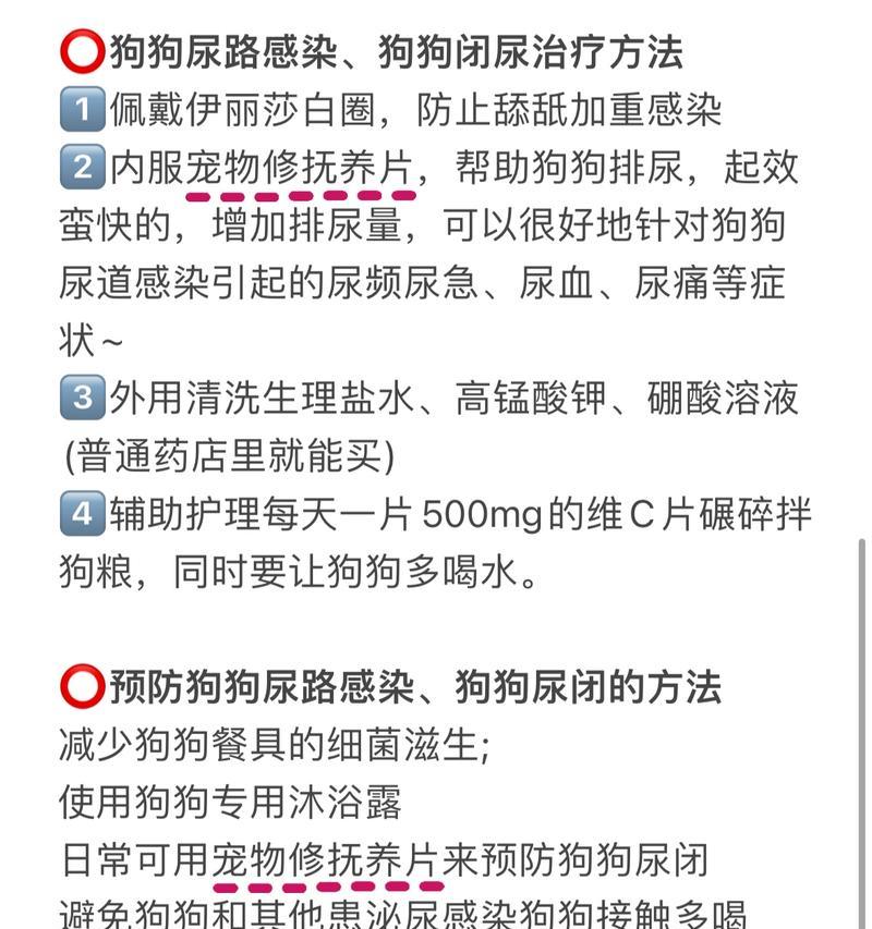 狗狗尿血，如何有效止血？（科普常见的治疗方法，帮助你正确应对）