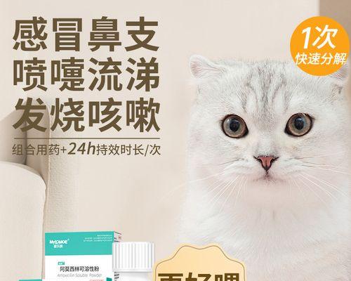 猫感冒流鼻涕打喷嚏应采取的合适处理方法和药物（保护猫咪免受感冒的影响，用药物缓解症状）
