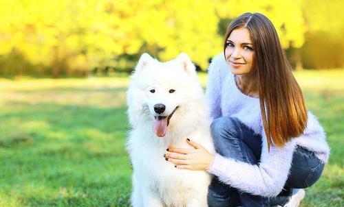 免费办理狗狗犬证攻略（一步步教您如何给宠物狗办理免费的犬证）