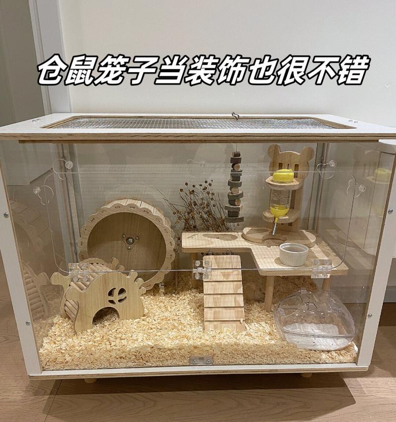 仓鼠饲养经验指南（八大禁忌，新手养仓鼠必看！）