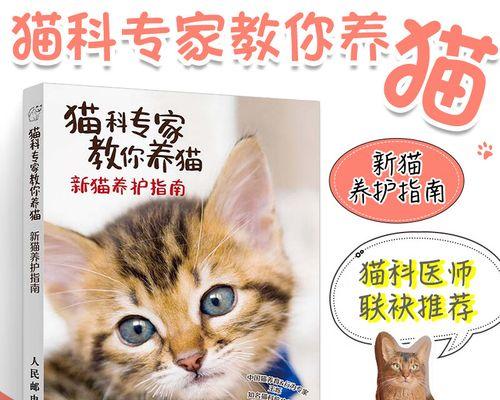 养猫新手必看！猫咪清洁安排与护理指南（让你的养猫之路更加省心，保持猫咪干净健康）