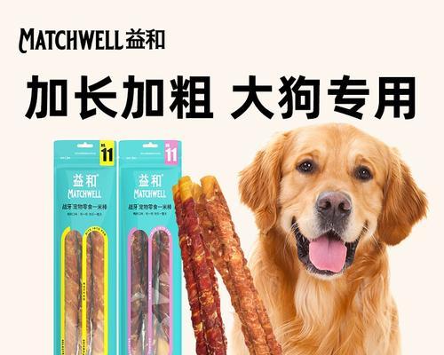 金毛幼犬何时开始补钙？（科学补钙，健康成长）