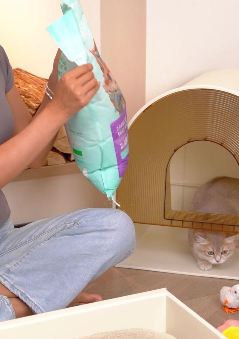 猫砂的作用及使用方法（了解猫砂的功效，让您的猫咪生活更舒适）