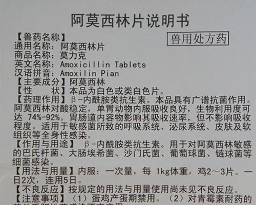 为什么狗会反复发烧？（探究狗发烧的原因及应对措施）