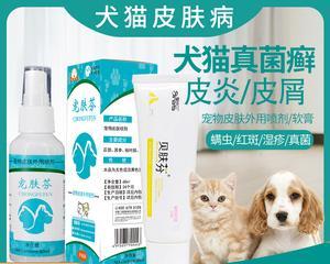 如何有效治疗狗狗身上的疮痍（选择合适的药物是关键）