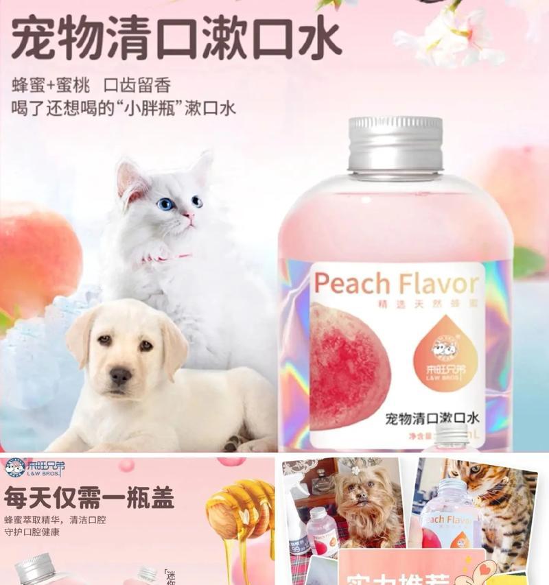狗狗洁齿的重要性与方法（如何保持狗狗的口腔健康）