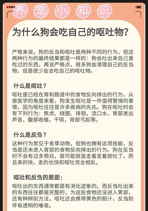 小狗为什么会叫到呕吐？（了解小狗呕吐的原因和处理方法）