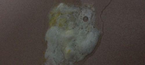 泰迪吐黄沫不吃食物的原因（探究泰迪吐黄沫、不进食的成因与解决方法）