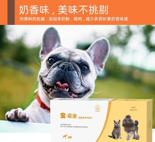 如何为狗狗注射感冒疫苗（预防狗狗感冒，从注射疫苗开始）