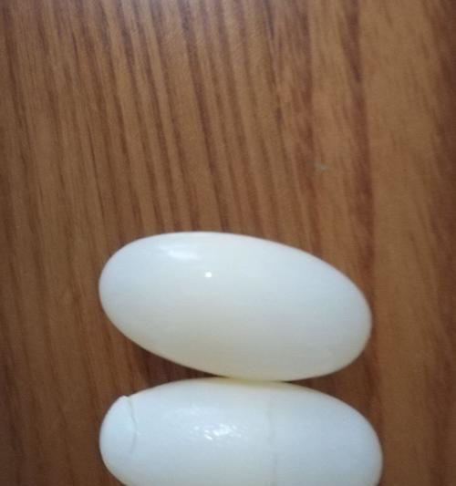 大乌龟的饮食习惯及营养需求（揭秘大乌龟的食欲与品味，探寻其健康生长之道）