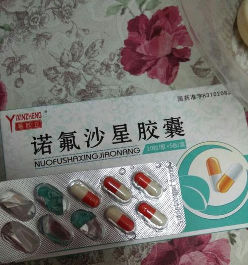 小狗呕吐后应该喂什么？（喂养小狗适宜的食物是什么？）