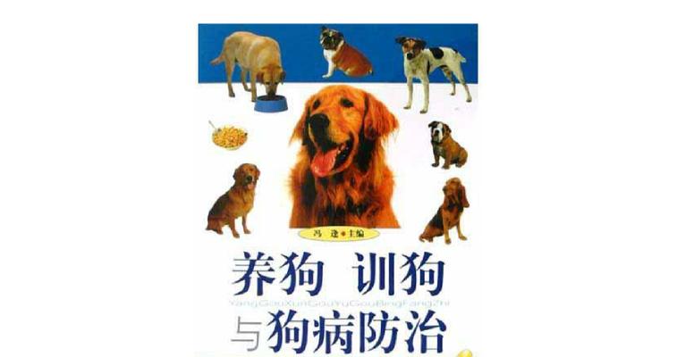 训狗的最佳时间（为什么要在狗狗早期进行训练？如何选择最佳的训练时间？）