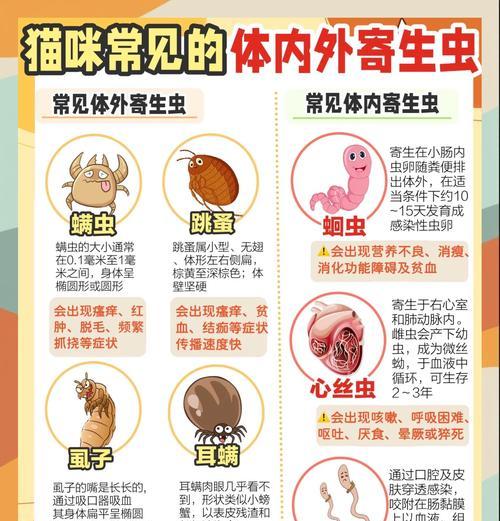 猫驱虫后打疫苗的重要性（为猫咪的健康保驾护航）