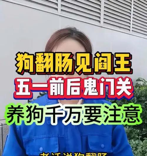 养狗前必须知道的关于犬瘟热的重要信息（犬瘟热对养狗时间的影响及如何避免传染）
