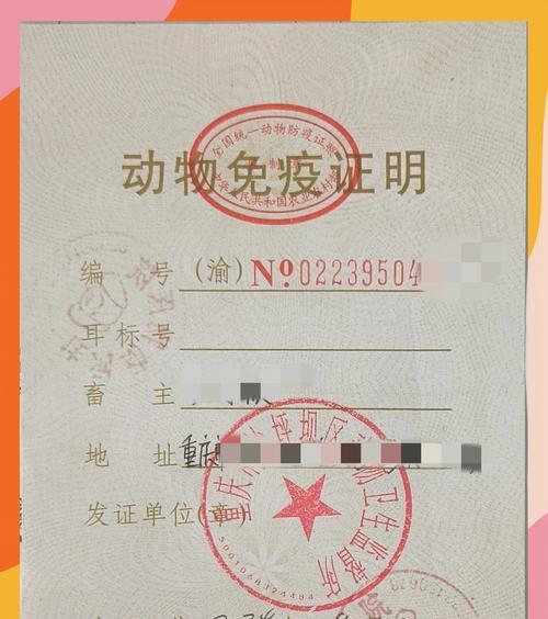 托运短鼻猫（了解短鼻猫托运的注意事项及舒适之道）