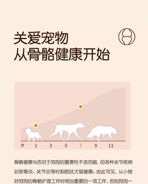狗狗骨折的消炎治疗方案（消炎药在狗狗骨折康复中的作用及使用方法）