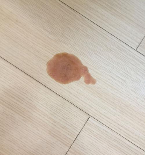 幼犬拉稀带血的原因及应对方法（宠物幼犬拉稀带血是怎么回事？怎样给予适当的治疗和护理？）