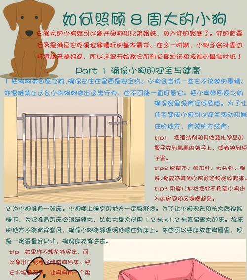 两个月小狗需要多少睡眠才能健康成长？（揭秘小狗睡眠时间的重要性及如何确保充足休息）