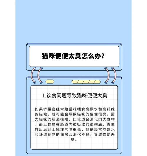 如何解决仓鼠体味过大的问题（有效清除仓鼠体味的方法与技巧）
