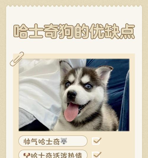 揭秘哈士奇的成长之谜（从毛绒球到酷炫颜值，哈士奇长相的奥秘）