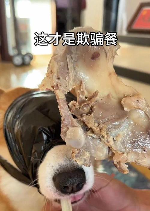狗吃鸡骨头会滑胎吗？（鸡骨头较尖不适合喂食，易引发消化道问题）
