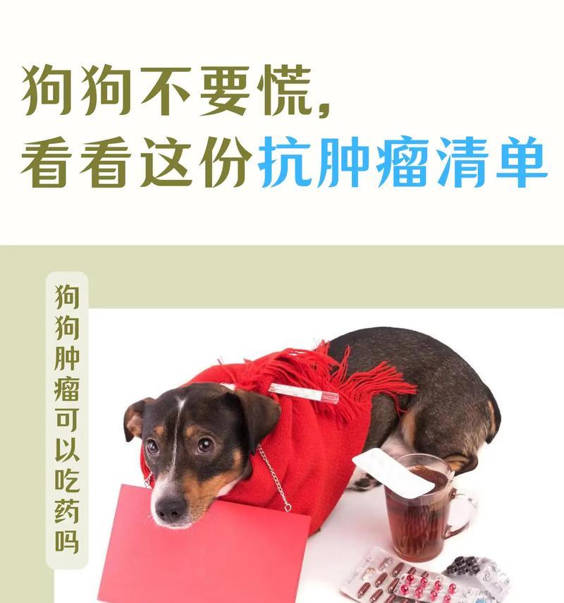 喂狗狗吃药的正确方式（如何让狗狗愉快地吃药）