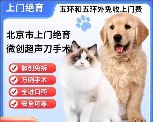 猫绝育手术（了解猫绝育手术的拆线过程，促进康复与预防并发症）