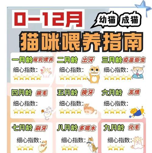 小猫出生后吃奶的时间安排（小猫吃奶的阶段和注意事项）