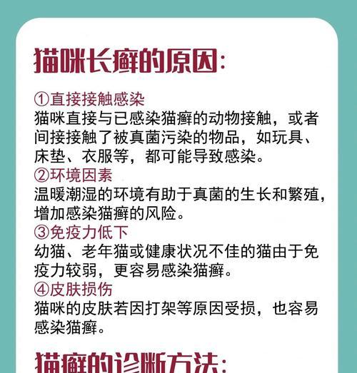 常见猫病大揭秘（猫咪健康攻略，守护毛孩幸福生活）