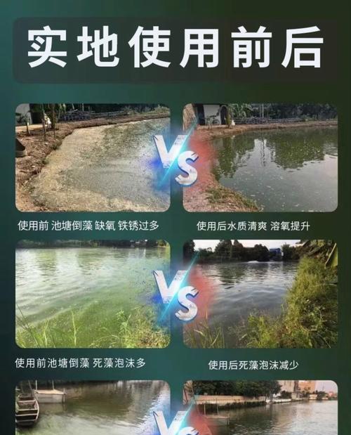 观赏鱼烂嘴治疗方法与环境配合（以药物治疗观赏鱼烂嘴的关键是环境）