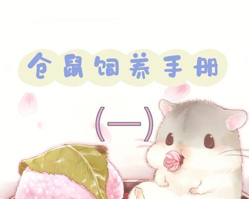 仓鼠饲养指南（让你的仓鼠健康快乐成长）