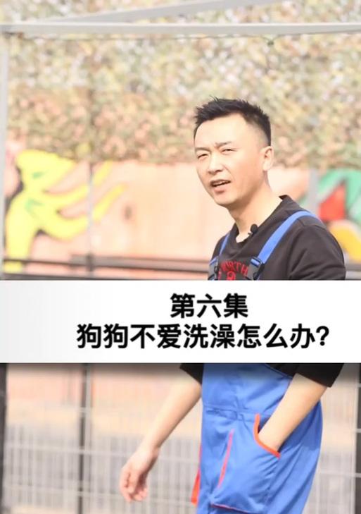 拉布拉多洗澡的频率与注意事项（拉布拉多洗澡一周几次最合适，洗澡的正确方法及相关护理指南）