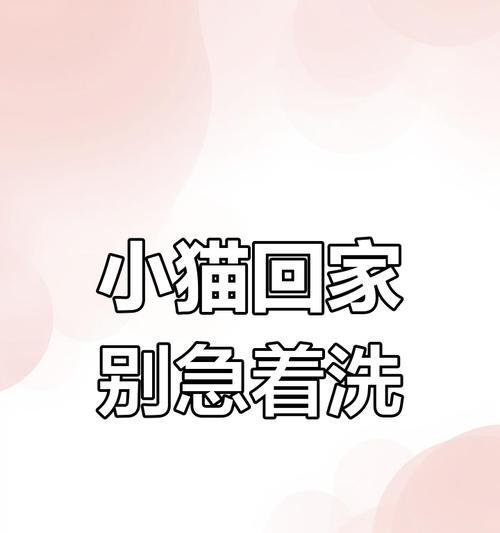 猫回家后多久可以洗澡？（猫咪的适宜洗澡时间与注意事项）