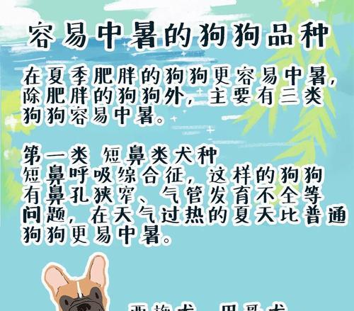 警惕！你的爱犬中暑了吗？（了解狗狗中暑的症状和应对方法，关爱它们的健康）