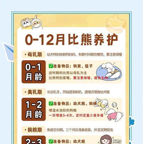 比熊犬的繁殖周期及生宝宝时间（揭秘比熊犬繁殖周期，了解宝宝诞生的奥秘）