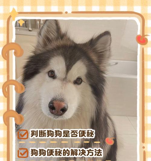 狗的排便异常问题（了解狗狗排便的频率和异常情况，关注宠物健康）