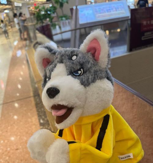 普通狗的喜好——玩具（探究狗喜欢玩什么玩具，让你的宠物开心起来）