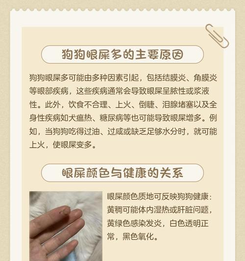 狗狗眼睛流出粘东西的原因剖析（如何正确处理狗狗眼睛流泪问题）