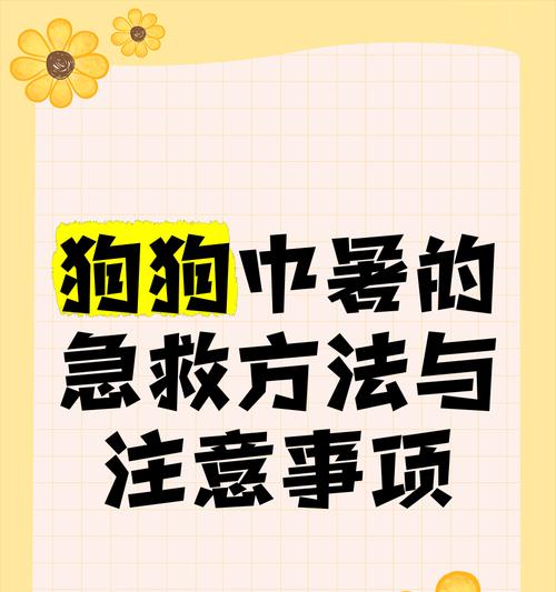 狗狗中暑救援指南（预防狗狗中暑的正确姿势，急救措施不容忽视）