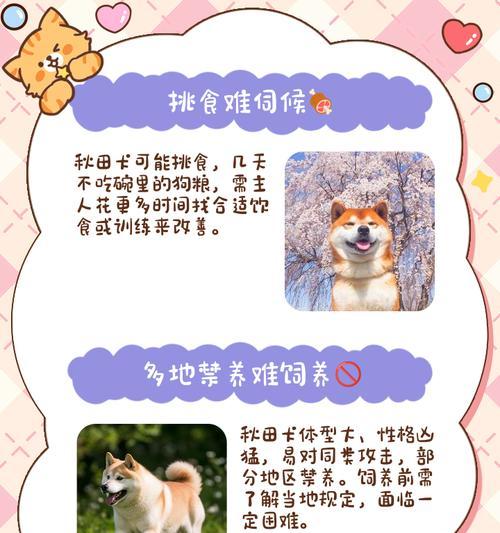 如何防治秋田犬皮肤病？（宠物主人必看，全面了解秋田犬皮肤病预防和治疗！）