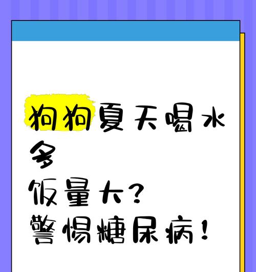 如何合理控制宠物狗的饮食饭量？
