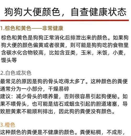 狗狗大便干燥白色带血的原因与处理方法（白色便便出现的可能原因、血便出现的风险以及养犬注意事项）