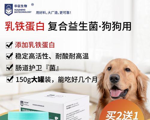 宠物泰迪吐了怎么办？——小技巧教你应对（宠物呕吐的原因及处理方法，让你更懂爱宠）