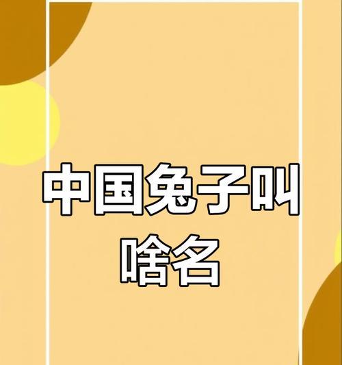 中国白兔的饲养技巧（从饲料到环境，打造优质兔肉生产）