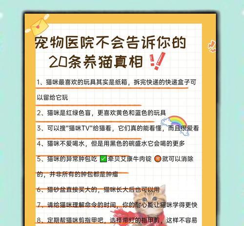 寄养猫咪前必须了解的事情（为宠物提供更好的照顾，让他们感受到家的温暖）