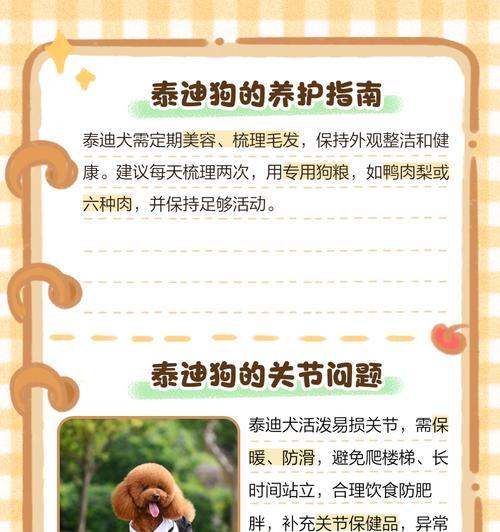 如何有效治疗泰迪犬的皮肤病——宠物保健的重要知识（掌握这些养犬技巧，让你的泰迪不再为皮肤病困扰）