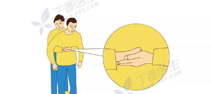 如何训练凯利蓝梗克服拒食问题（宠物饮食均衡健康从训练开始）